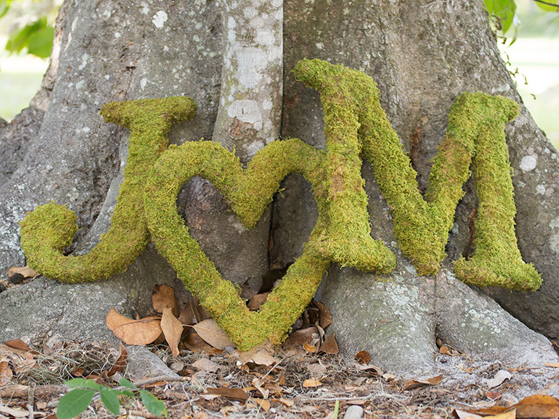 Moss Letters