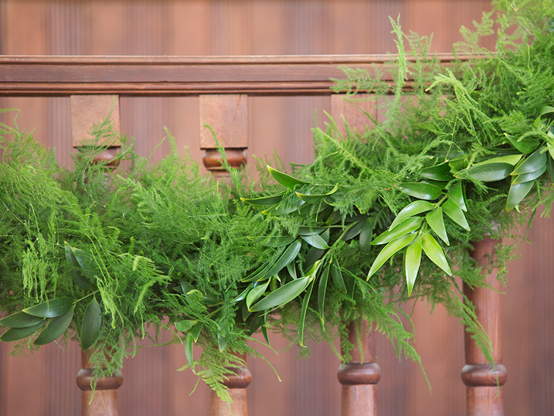 Plumosus Nagi Garland Garland