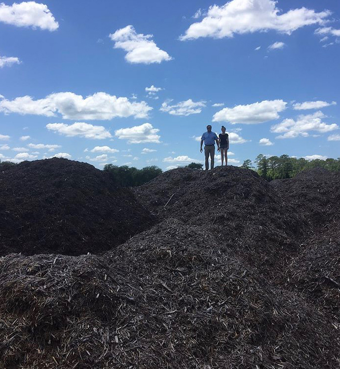 Decaying Mulch