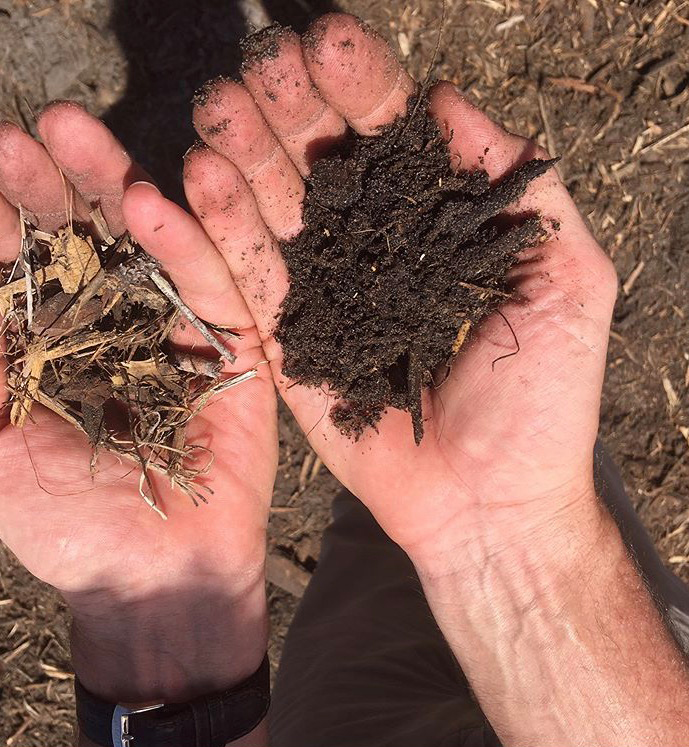 Organic Soil From Decaying Mulch