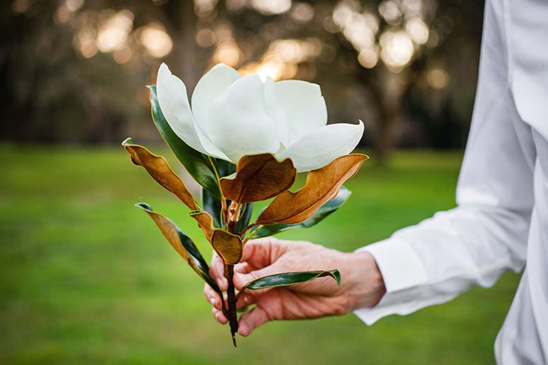 Hand Holding White Magnolia Bloom