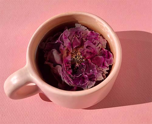 Whole Flower Rose Tea in Pink Mug