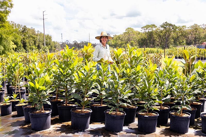 Julie among magnolias in nursery