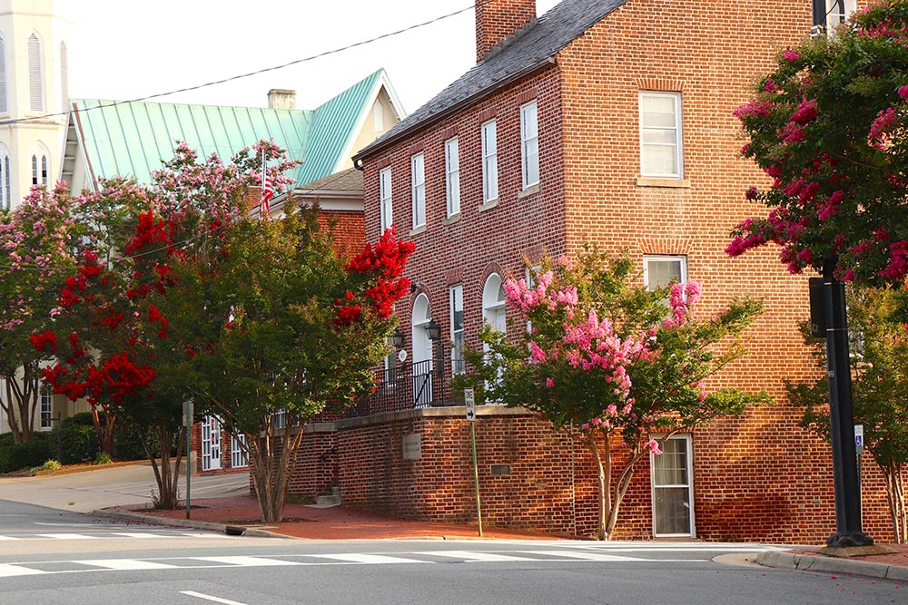 Red and Pink Crepe Myrtles