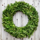 Fresh Boxwood Wreath