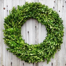 Fresh Boxwood Wreath