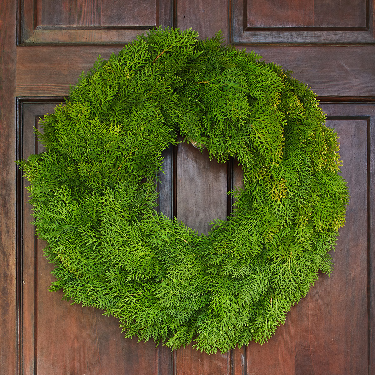 The Magnolia Company: Simply Cedar Wreath