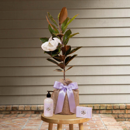 Mom's Magnolia Lavender Bundle