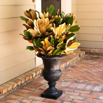 Gilded Magnolia