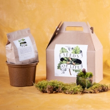 Growing Tree Kit for Baby