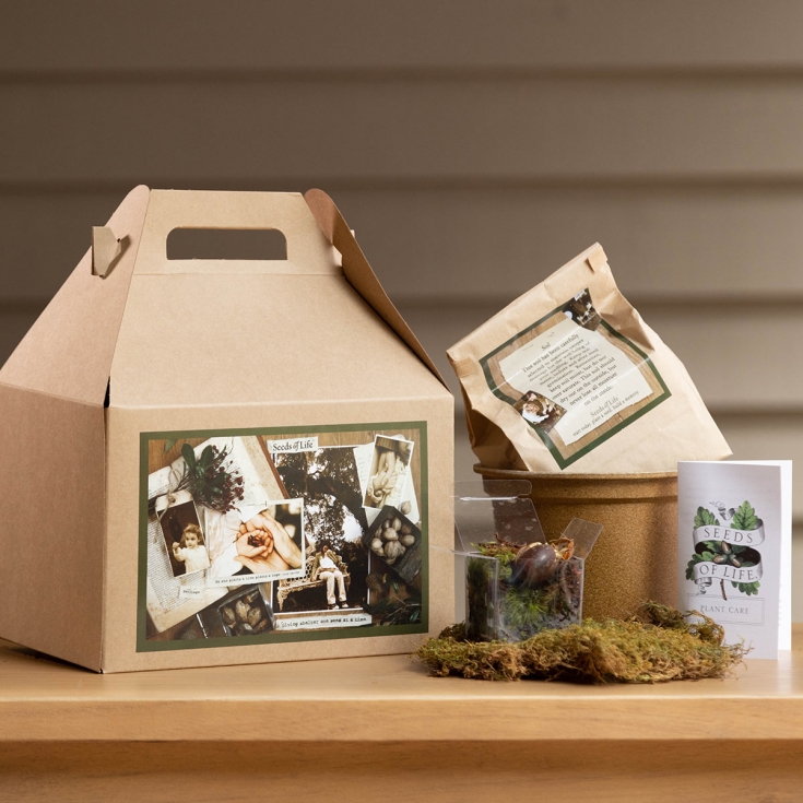 Growing Tree Kit