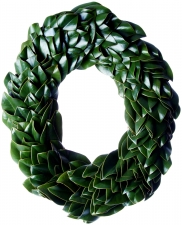 All Green Magnolia Oval Wreath - 22"