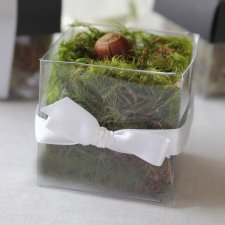 Single Front White Bow - No Lid