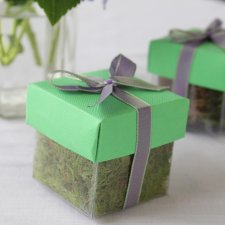 Grasshopper Green Lid / Lavender Top Single Bow