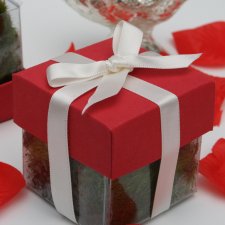 Grenadine Red Lid / Ivory Top Double Bow