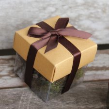 Metallic Starburst Lid / Brown Top Double Bow
