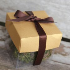 Metallic Starburst Lid / Brown Top Single Bow