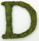 Letter D