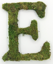 Letter E