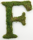 Letter F