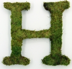 Letter H
