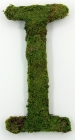 Letter I