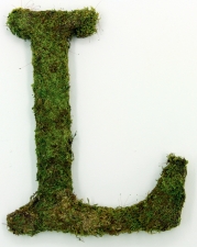 Letter L