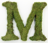 Letter M