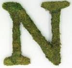 Letter N