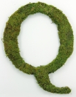 Letter Q