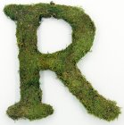 Letter R