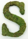 Letter S