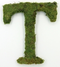 Letter T