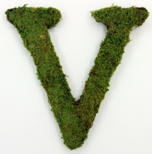 Letter V