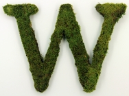 Letter W