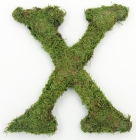 Letter X