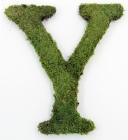 Letter Y