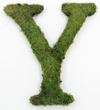 Letter Y