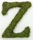 Letter Z