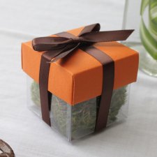 Papaya Puree Dark Lid / Brown Top Double Bow