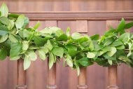 Salal Garland