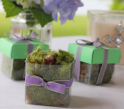 Green & Lavender