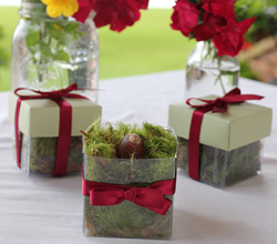 Pear Green & Burgundy