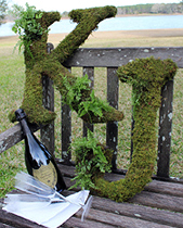 Wedding Moss Letters